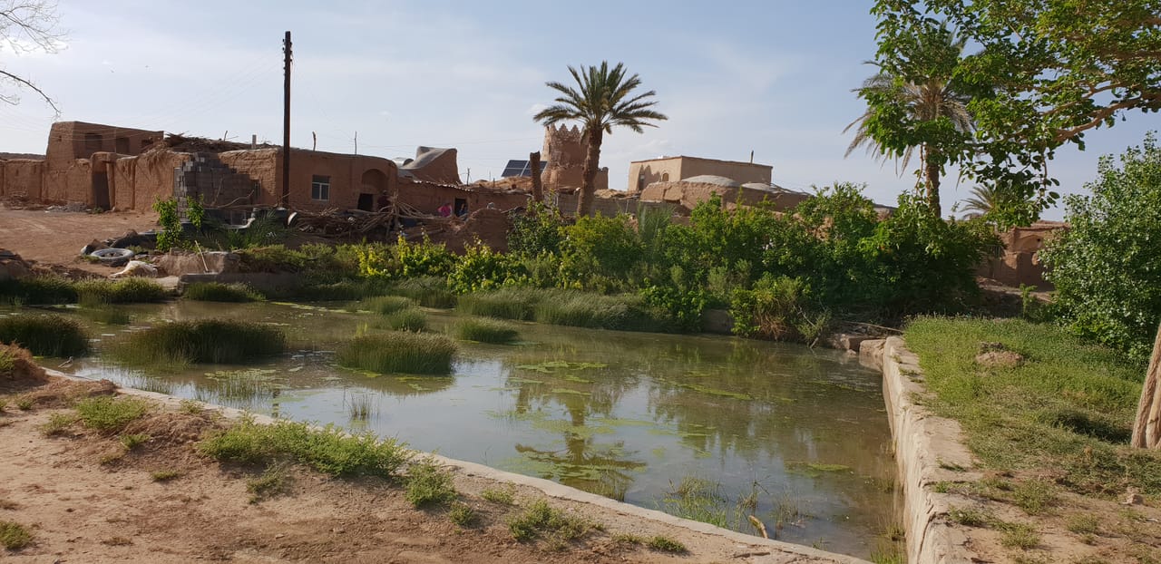 واحهٔ سبز کنار روستا