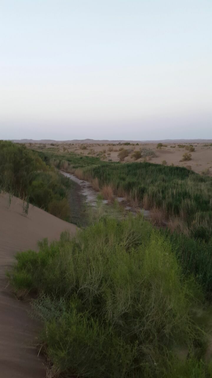 طبیعت سرسبز کنار روستا